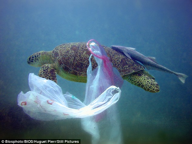Plastic bag sales in UK's ‘big seven’ supermarkets drop by 86% after introduction of 5p charge