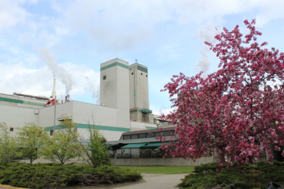 West Fraser announces Cariboo mill curtailment this spring and fall