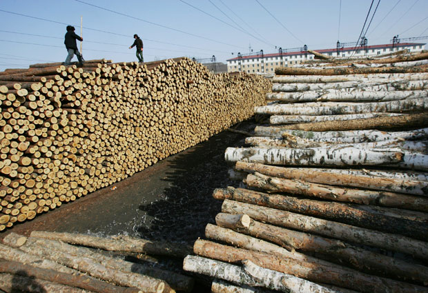 lumber supplier